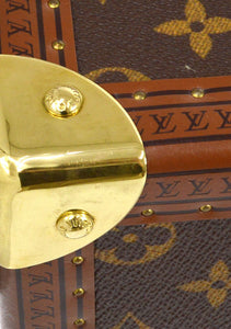 LOUIS VUITTON Cosmetic Trunk