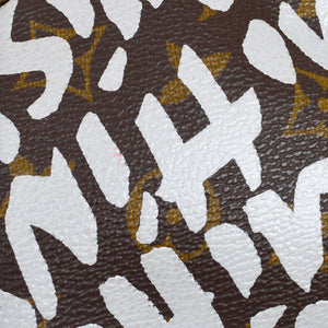 LOUIS VUITTON Graffiti Pochette